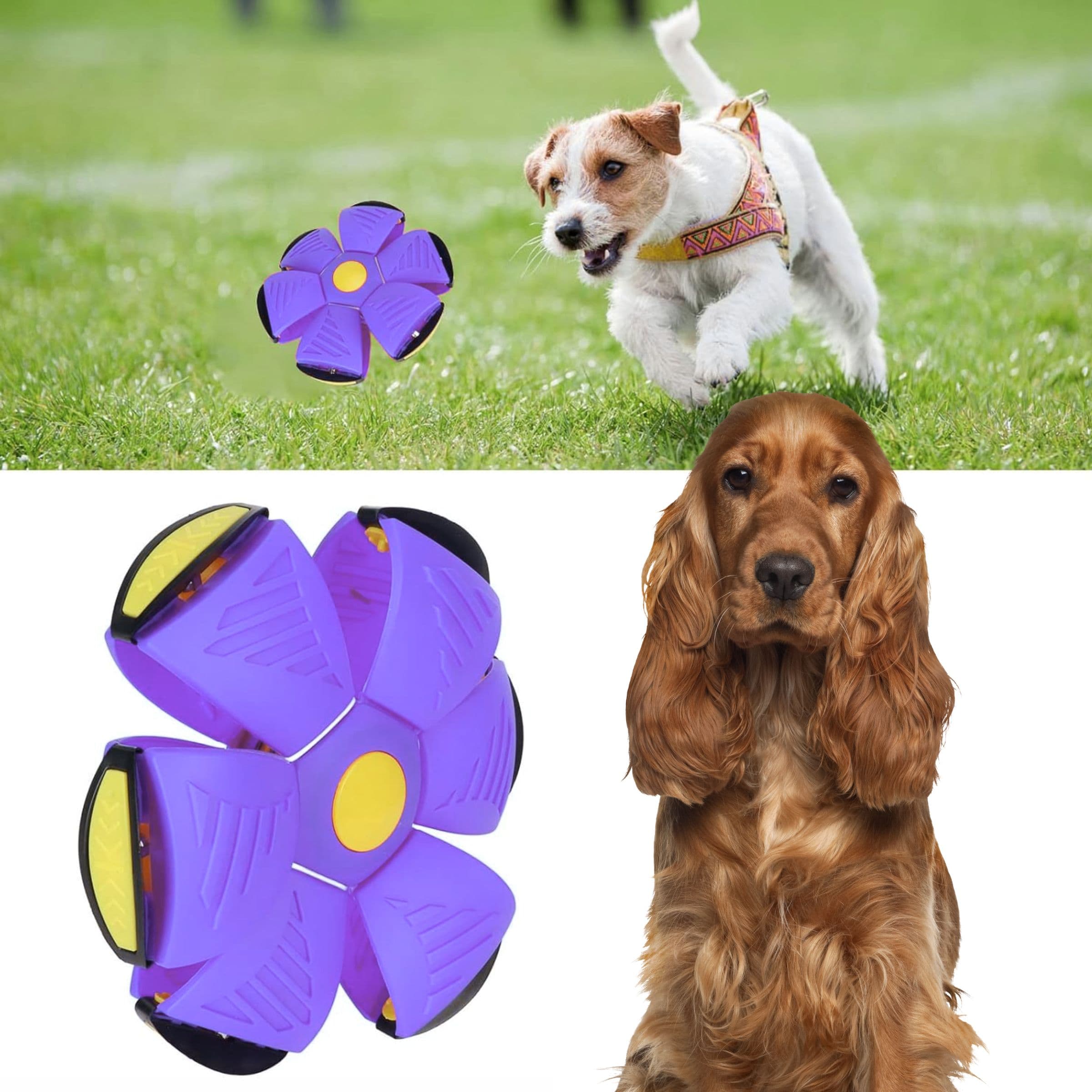 KAN1_tds0804_Piłka płaska zabawka dla dzieci